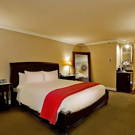 Cupertino Hotel-3