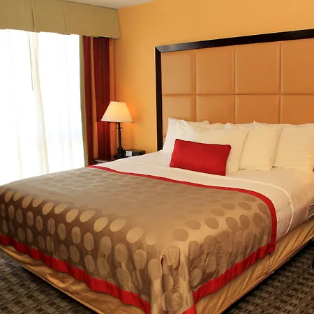 Delta Hotels By Marriott Denver Thornton-2