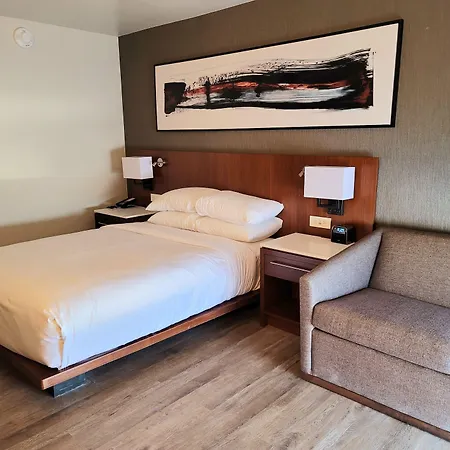 Delta Hotels By Marriott Denver Thornton-3