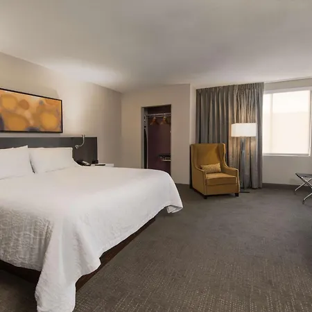 Hilton Garden Inn Las Colinas-3