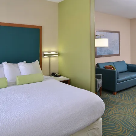 Springhill Suites By Marriott Charleston Riverview-2