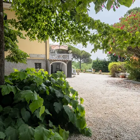 Villa San Giorgio-3