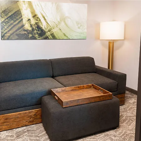 Springhill Suites By Marriott Irvine Lake Forest-3