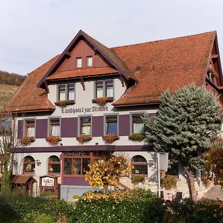 Landhotel Traube-3