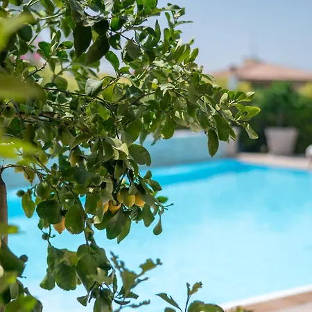Hotel Relais Agli Olivi-3