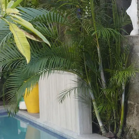 Hotel Los Balcones Leon-2