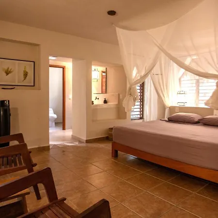 Villas Ecotucan-2