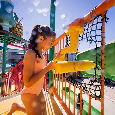 Coco Key Hotel&Water Park Resort-2