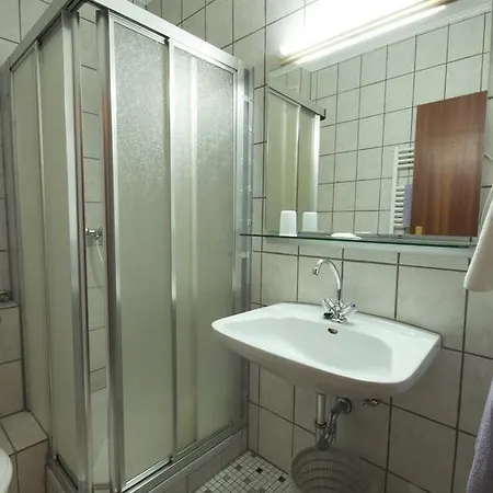 Hotel Weidenau-3