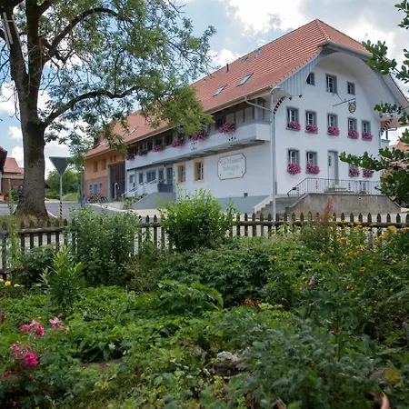 La Maison Salvagny-2