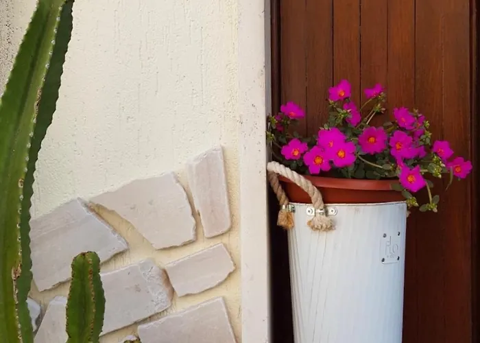 Sogno Mediterraneo Formia