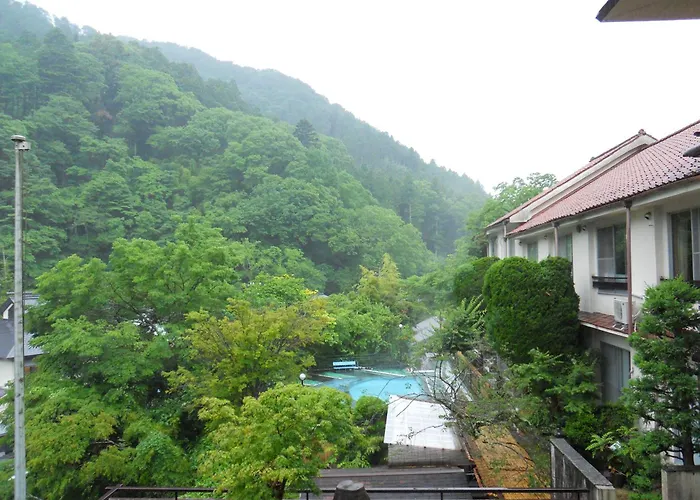 Sakaya Ryokan Yoshina Onsen Izu 