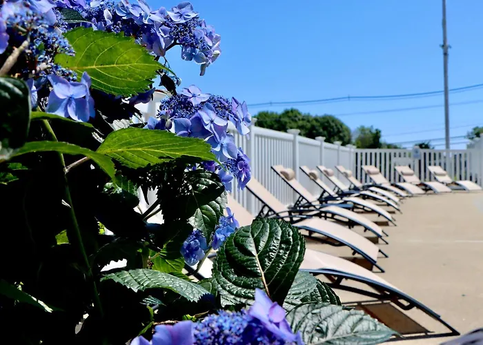 Sea View Motel Ogunquit