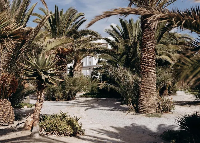 Medusa Beach Resort & Suites Plaka 