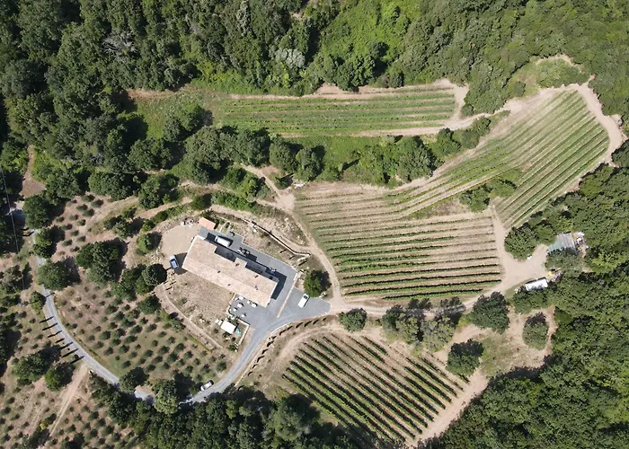 Agriturismo Tenuta Il Molino Quercianella