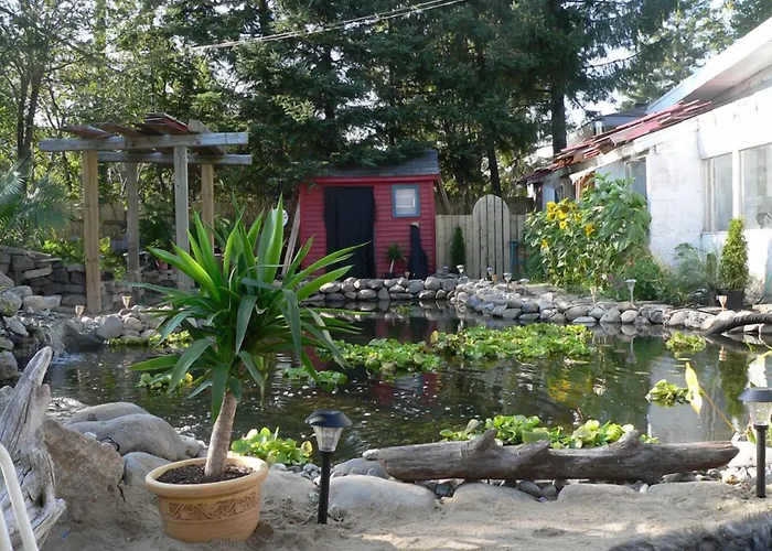 L'Oasis du Pirate