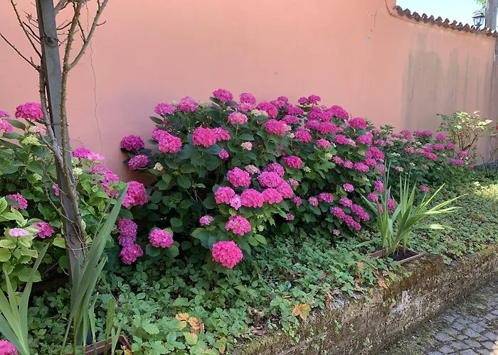 La Casa Celeste B&B Asti