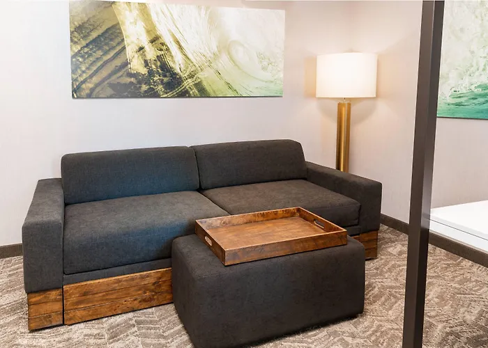 Springhill Suites By Marriott Irvine Lake Forest