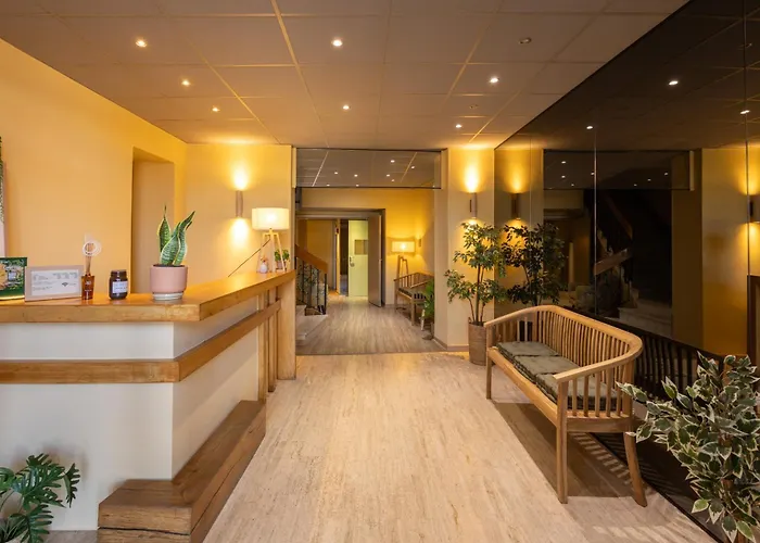 L'Aptois Hotel - Centre Ville - Local Velos