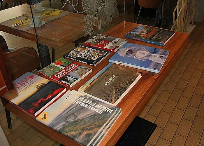 Hotel Montana La Panne