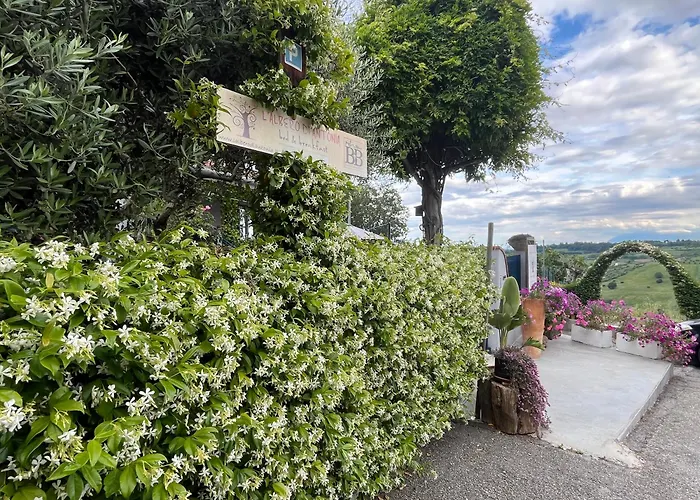 B&B L'Albero Di Antonia Atri