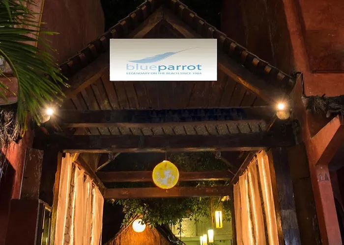 Blue Parrot On 5Th Avenue Hotel Playa del Carmen